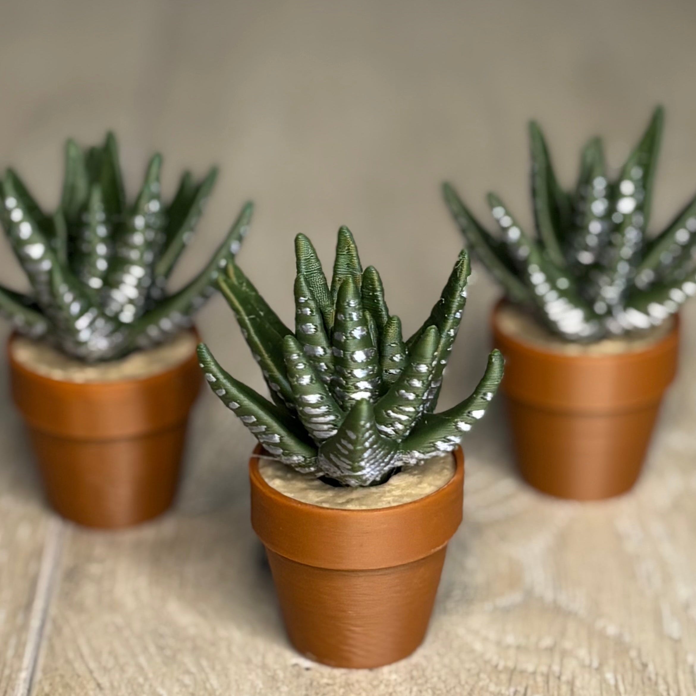 Aloe Vera Fidget Spinner