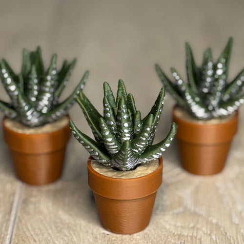 Aloe Vera Fidget Spinner