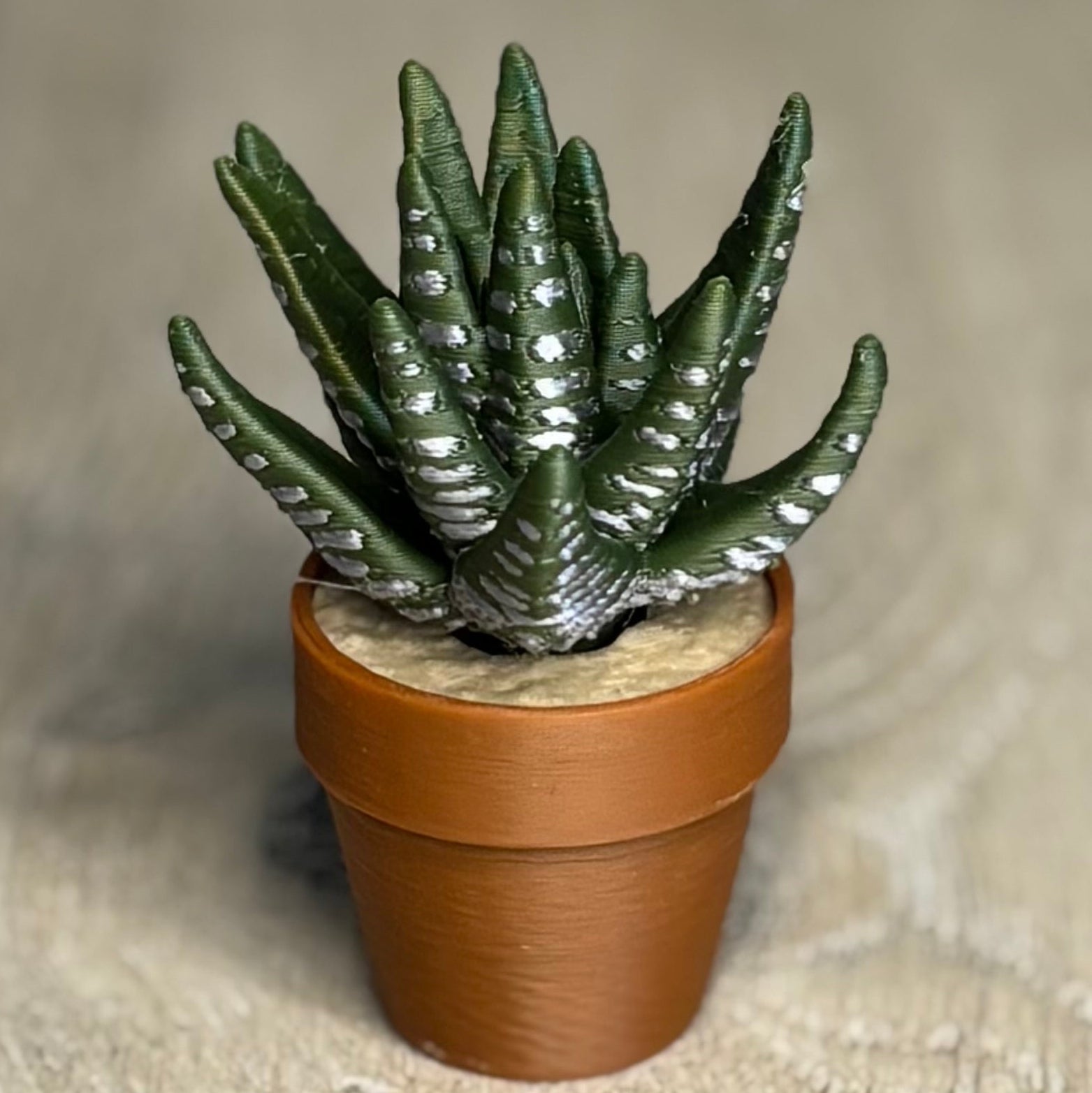 Aloe Vera Fidget Spinner