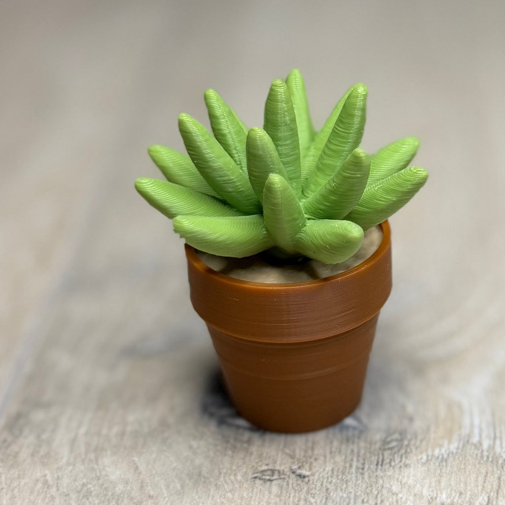 Spine Cactus Fidget Spinner