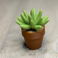 Spine Cactus Fidget Spinner