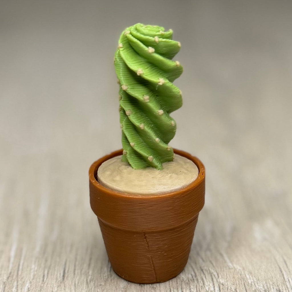 Spiral Cactus Fidget Clicker