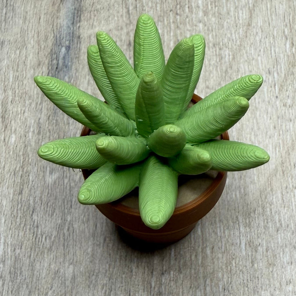 Spine Cactus Fidget Spinner