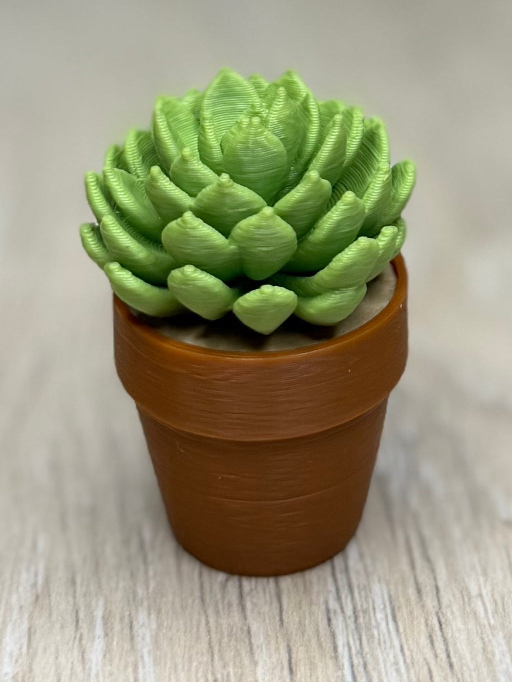 Spiney Cactus Fidget Spinner