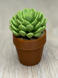 Spiney Cactus Fidget Spinner