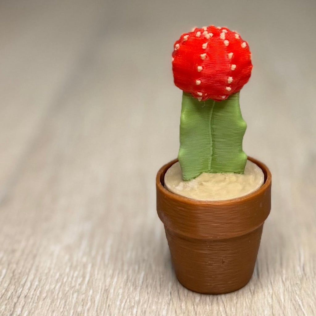 Moon Cactus Fidget Clicker