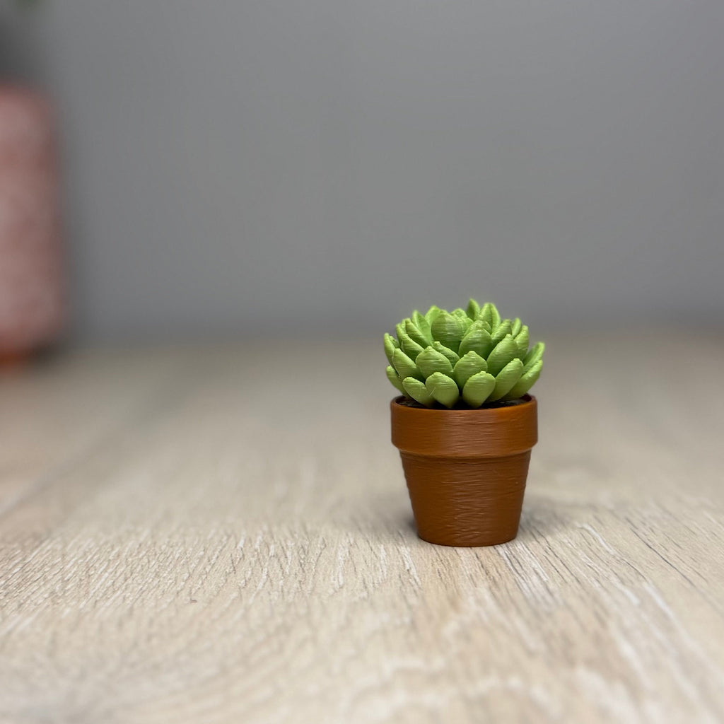 Spiney Cactus Fidget Spinner