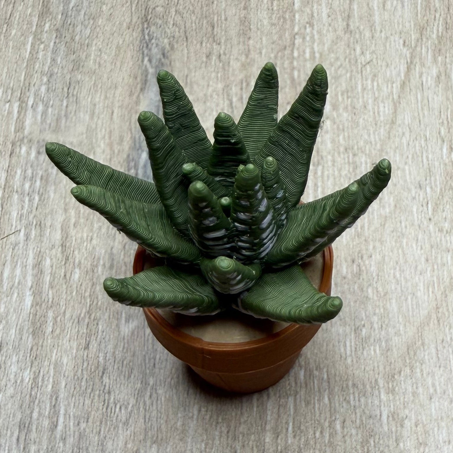 Aloe Vera Fidget Spinner