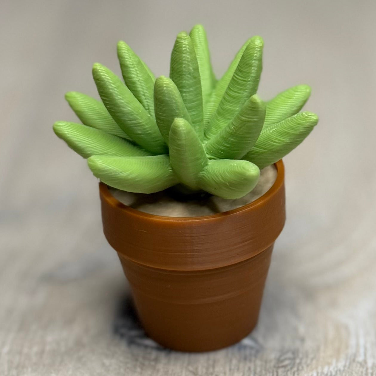 Spine Cactus Fidget Spinner
