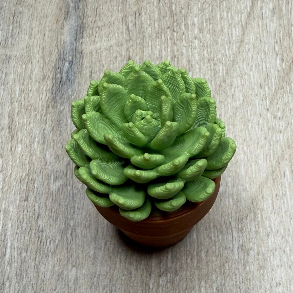 Spiney Cactus Fidget Spinner