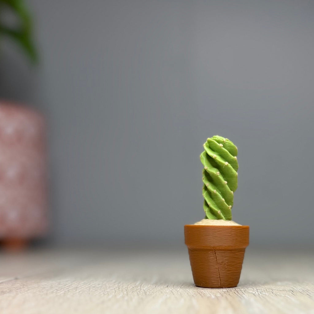 Spiral Cactus Fidget Clicker