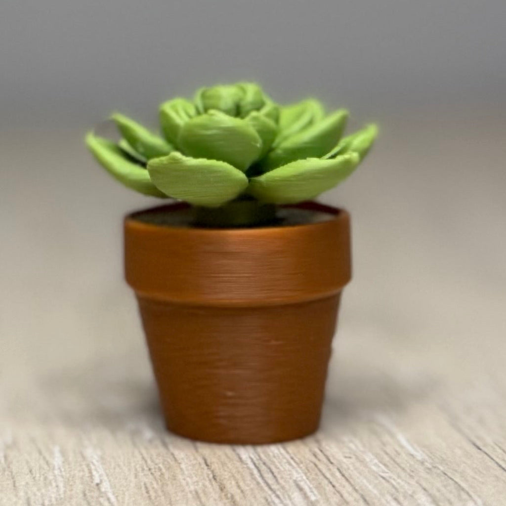 Flower Cactus Fidget Spinner