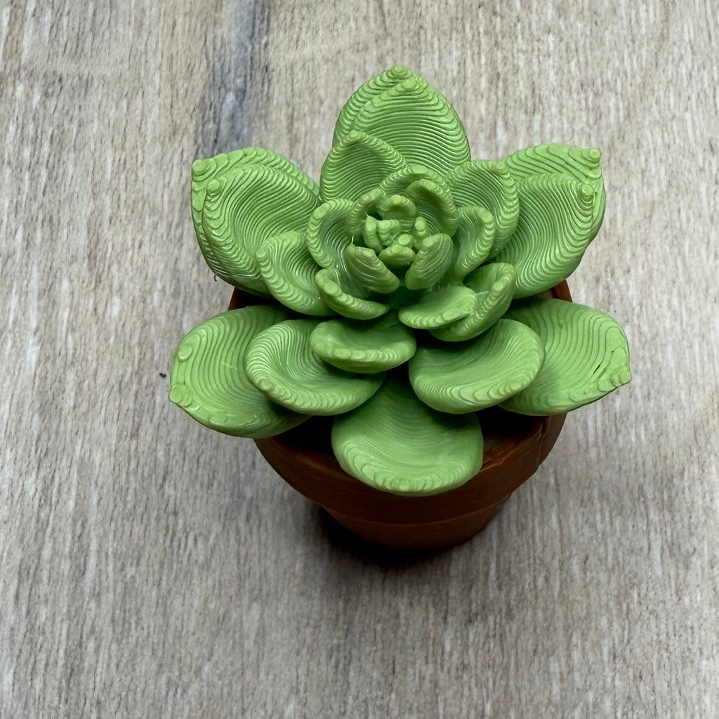 Flower Cactus Fidget Spinner