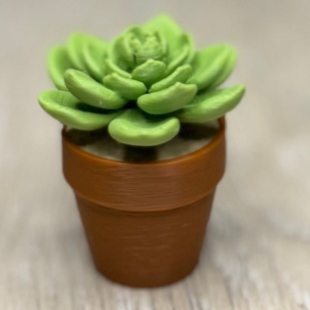 Flower Cactus Fidget Spinner