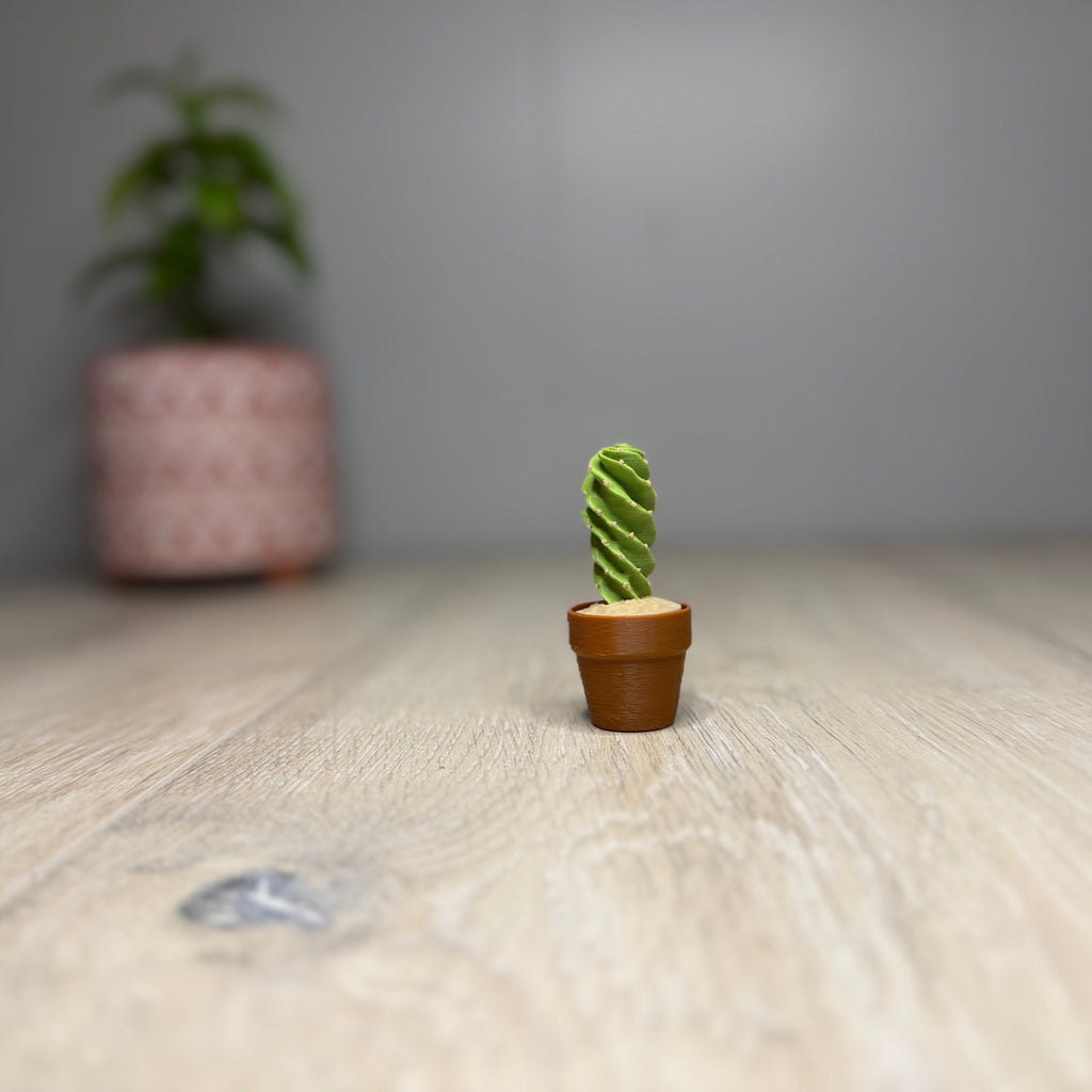 Spiral Cactus Fidget Clicker