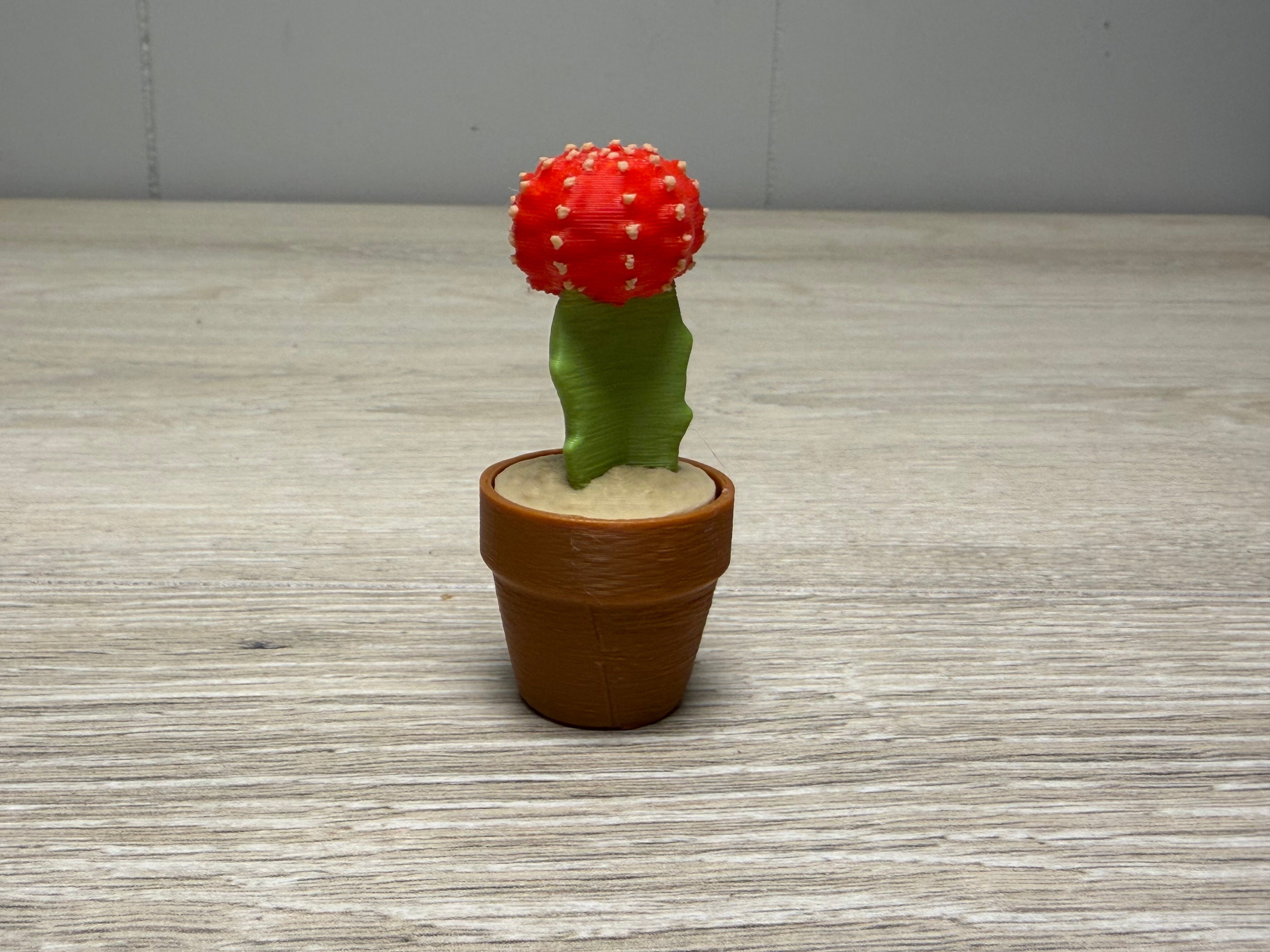 Moon Cactus Clicker