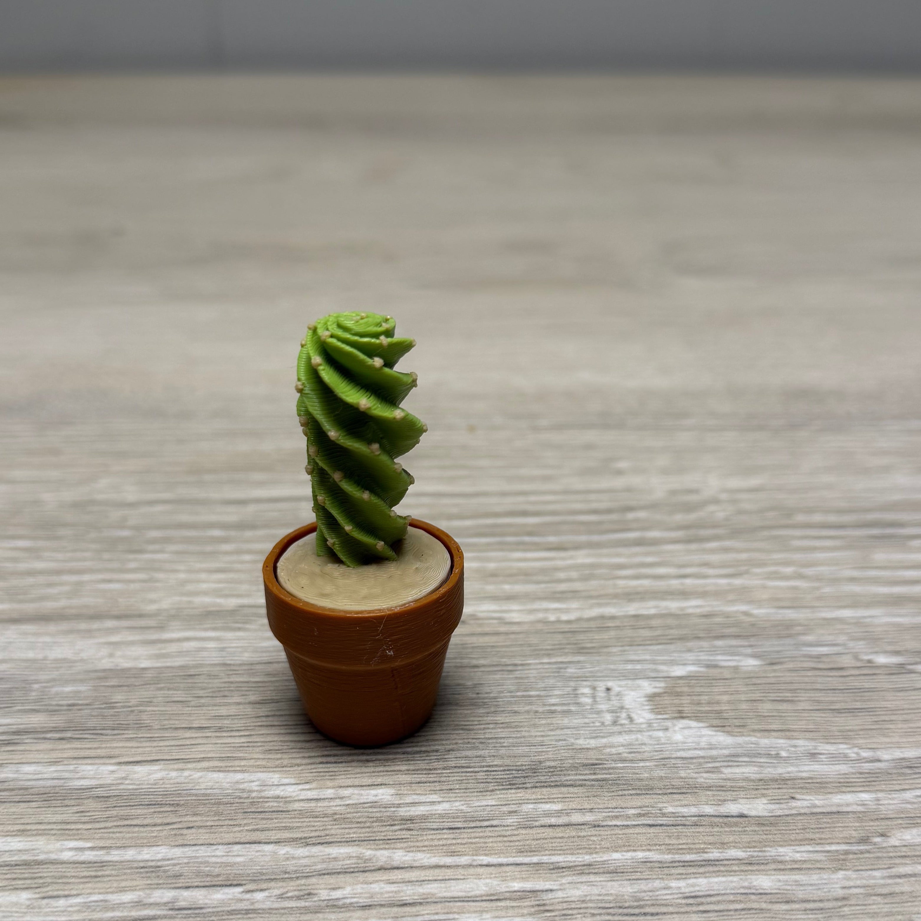 Spiral Cactus Clicker
