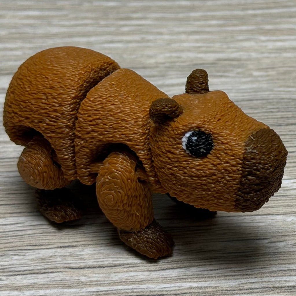 Clumsy Capybara