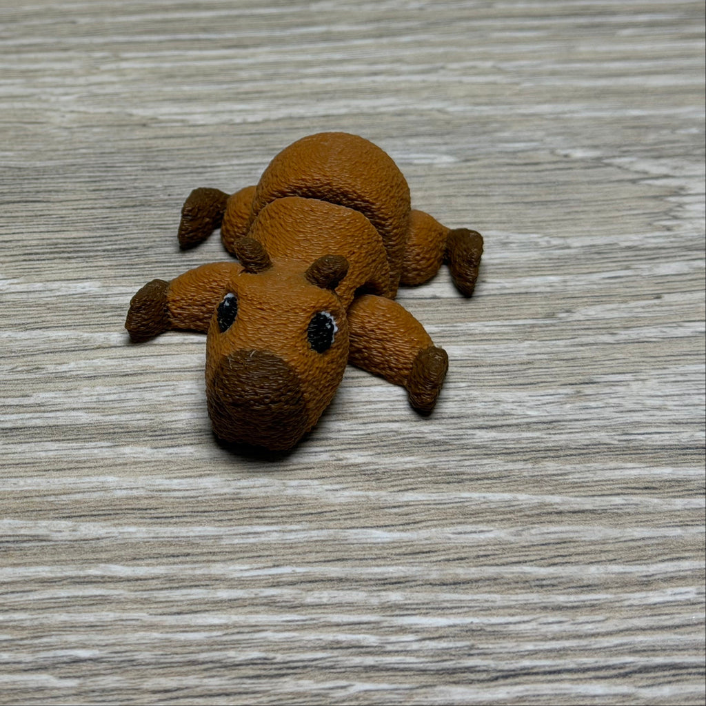 Clumsy Capybara