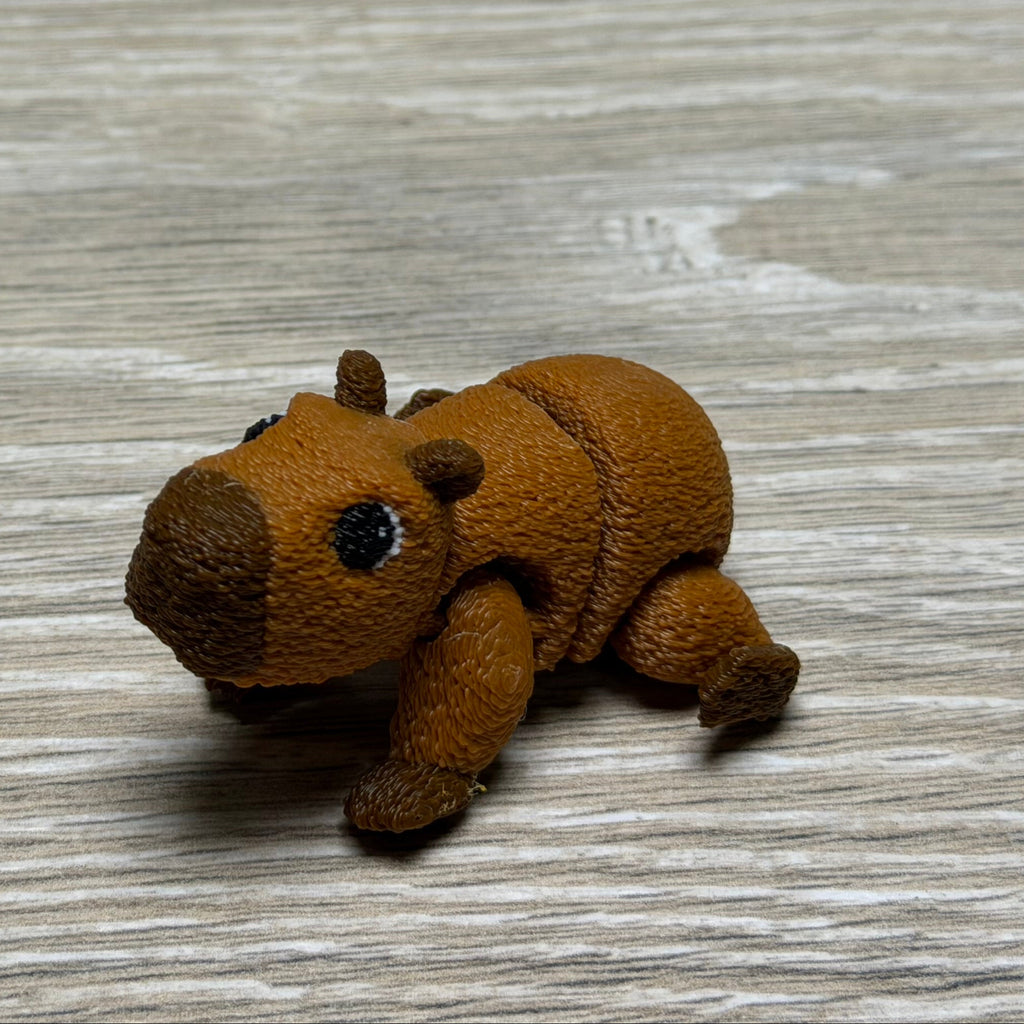 Clumsy Capybara