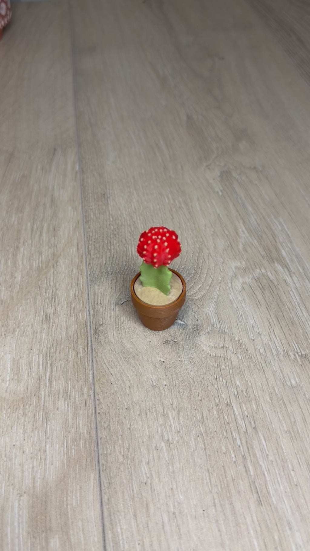 Moon Cactus Fidget Clicker