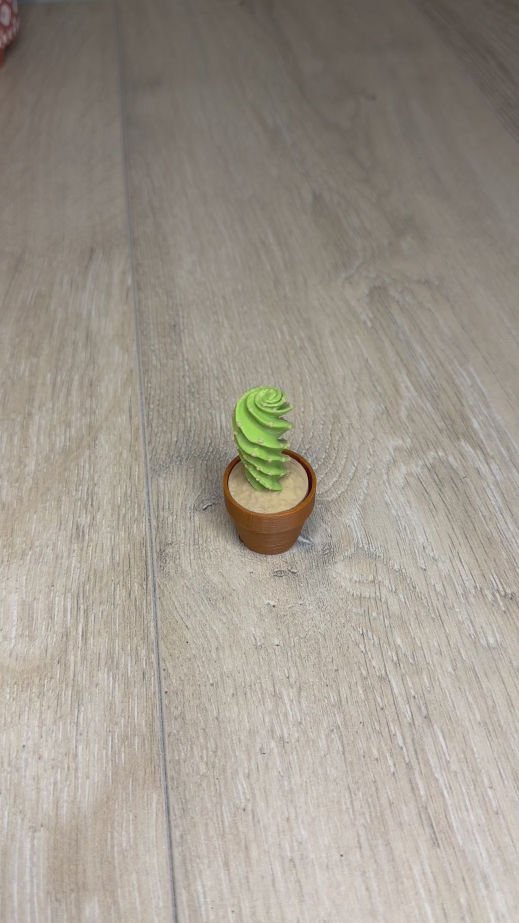 Spiral Cactus Fidget Clicker