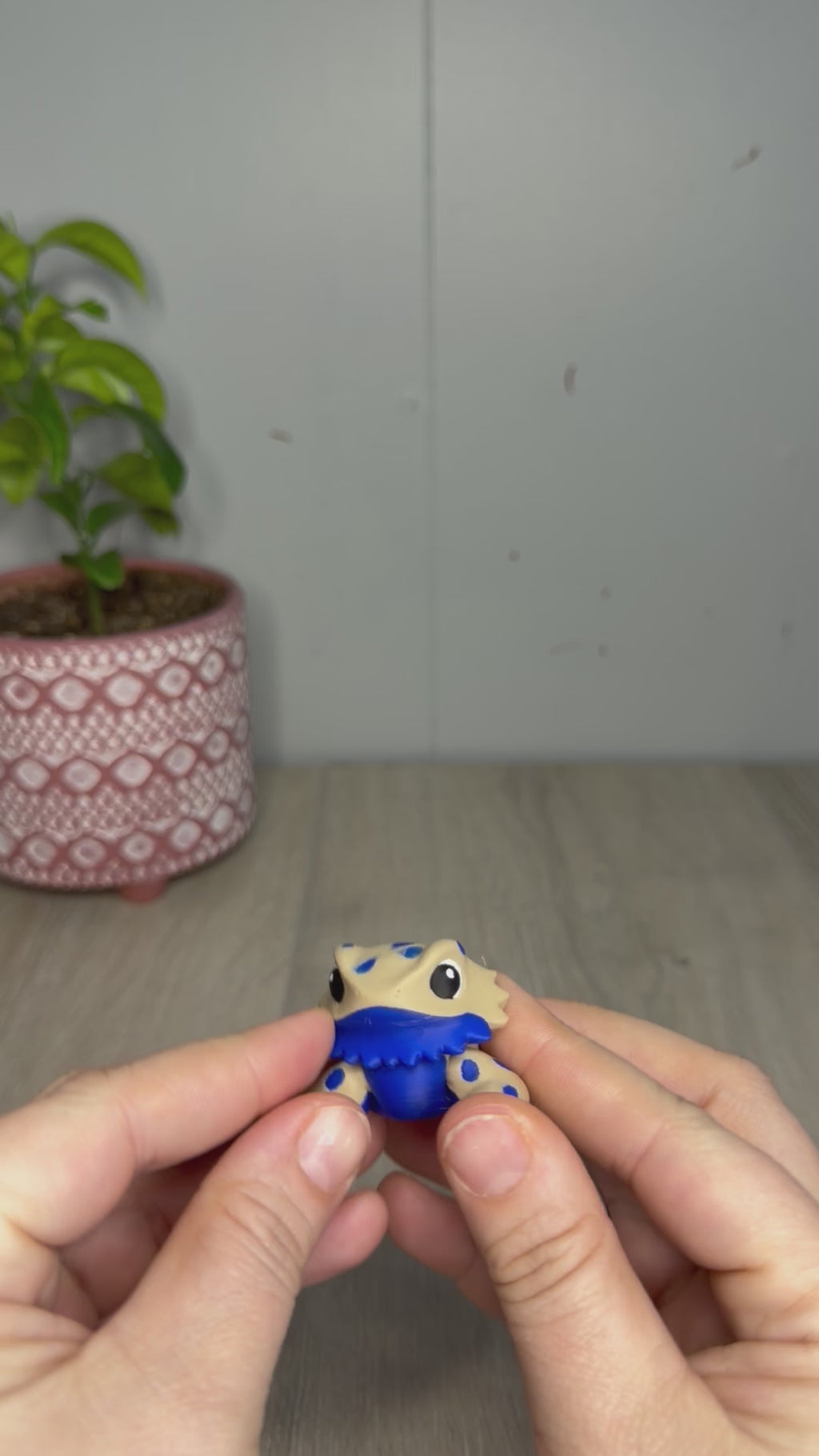 Bearded Dragon Articulating Fidget