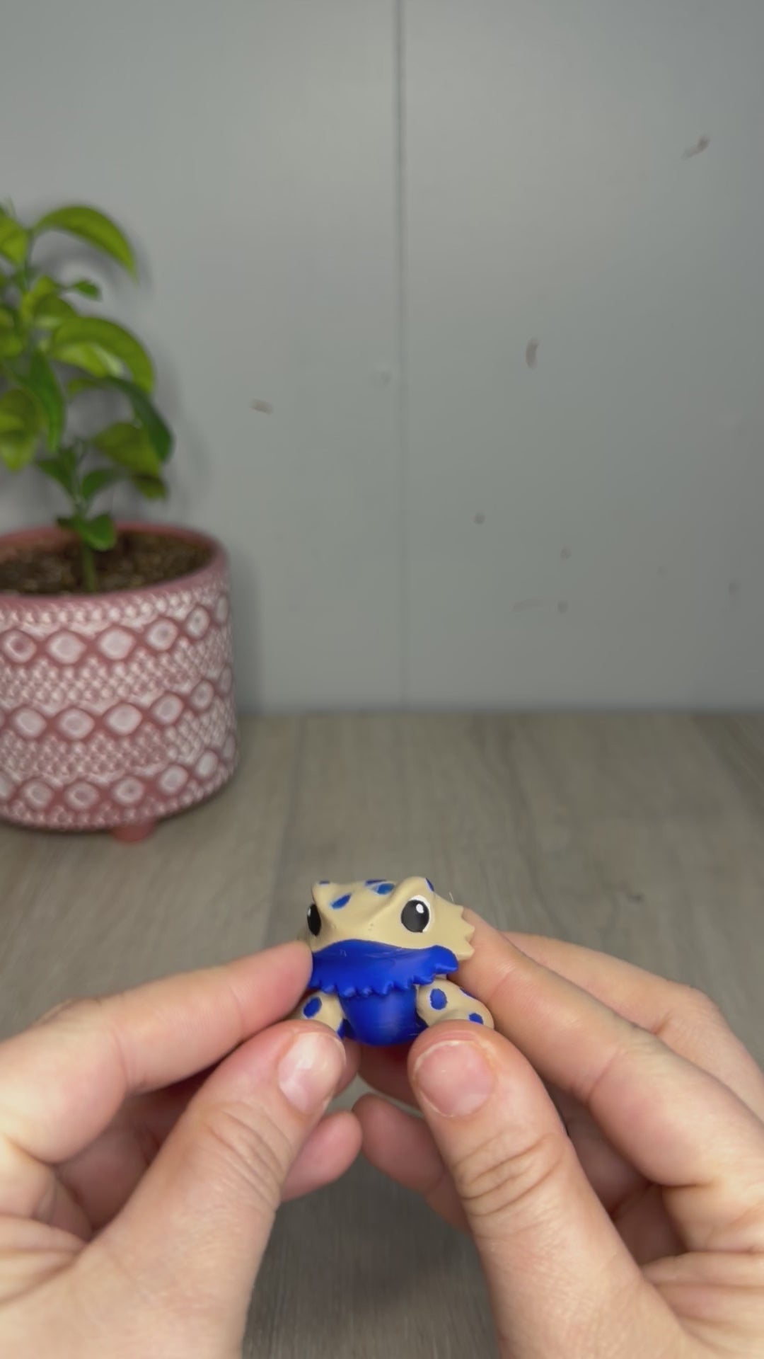 Bearded Dragon Articulating Fidget
