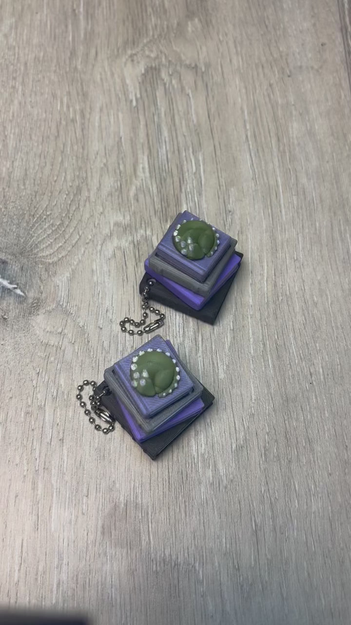Peter the Dragon - BookStack Fidget Clicker