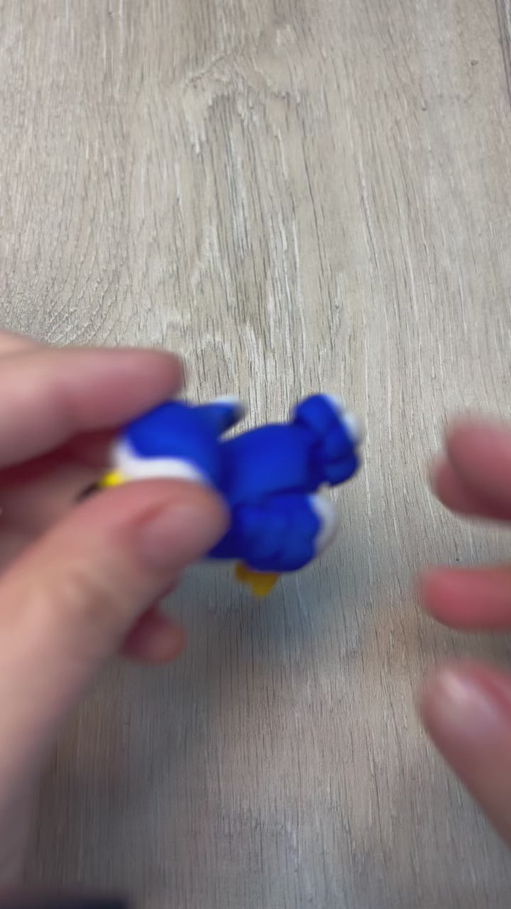 The Elusive Dodo Bird